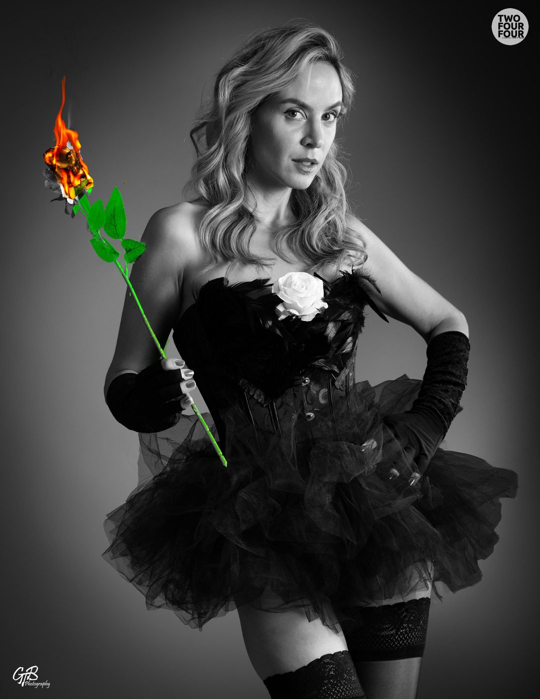 Single images gallery photograph 3